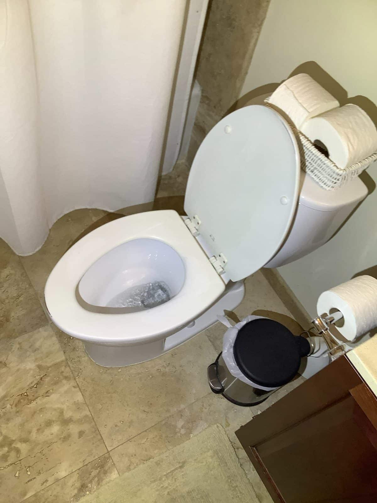 Drain Services